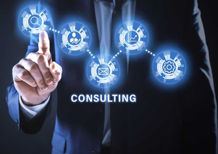 Professional Consultancy